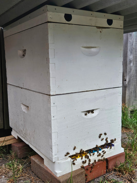 Complete Beehive With Bees