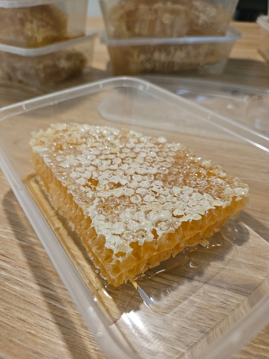 Honeycomb Slab 200g-240g