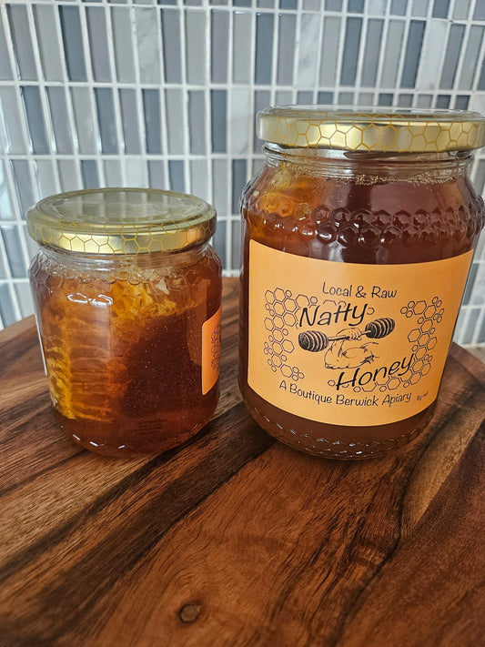 Honeycomb in Raw Honey 500g